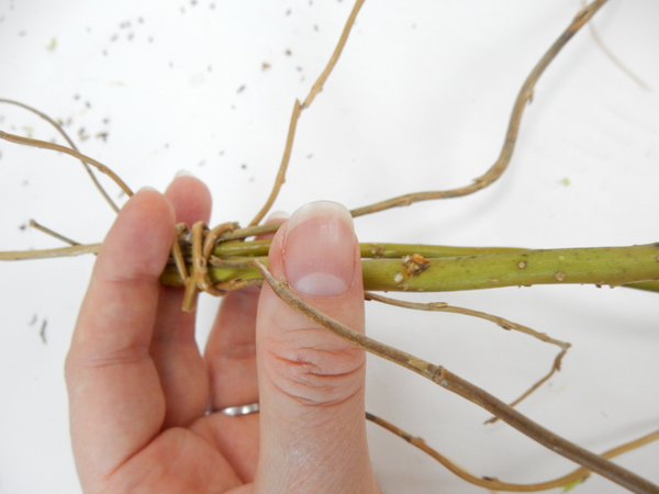 Press a thin stem into the top where the willow stems are connected