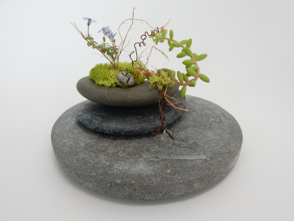 Rock and succulent design