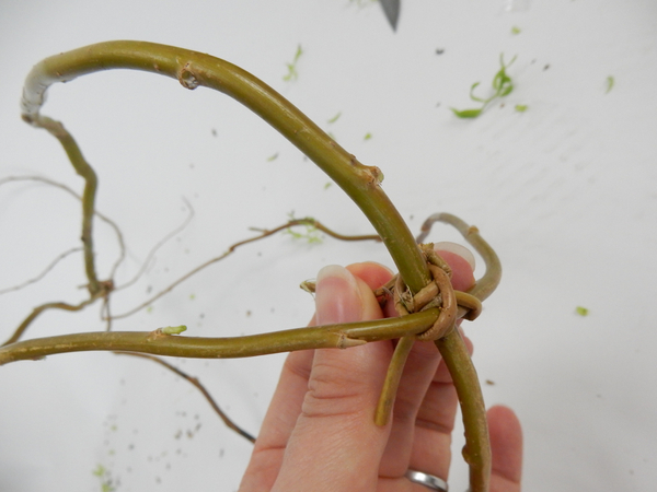 Secure a thin willow stem where the looped stems cross