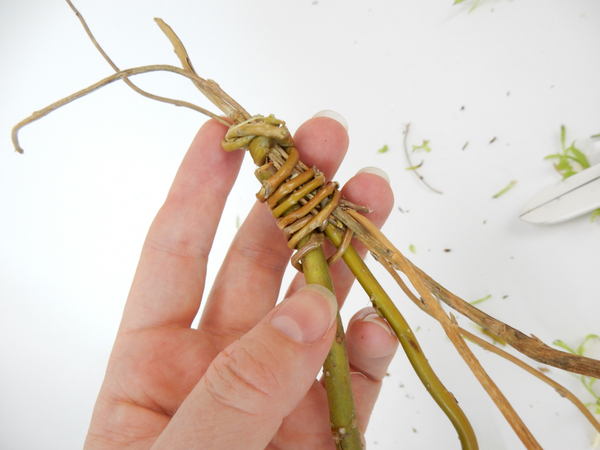 Wrap the stem to make sure it is firmly secure and that the stems are all in place