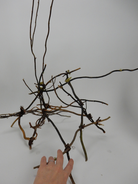 Birds nest twig tangle