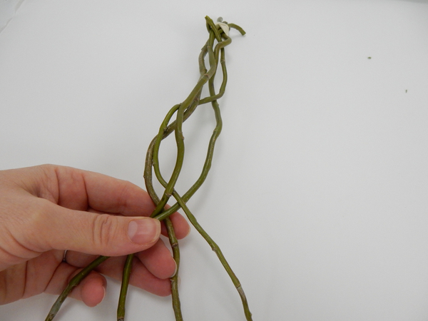 Gently plait and weave the stems into a long tangle.