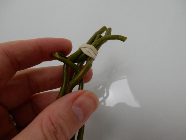 Secure the stems at one end with an elastic band