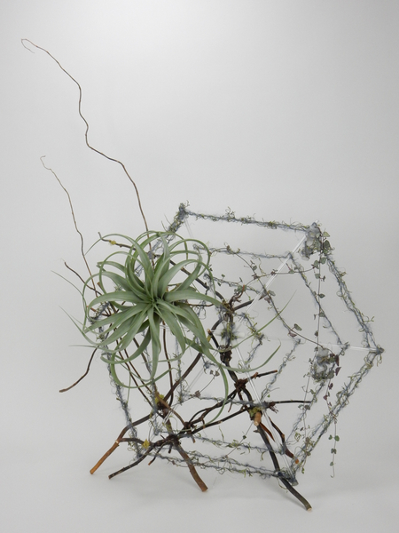Spiderweb floral art design