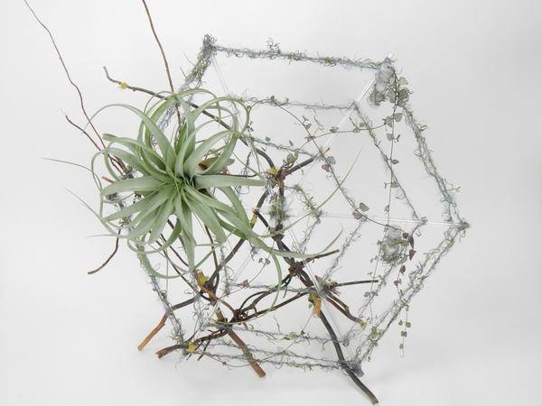 Spiderweb strands