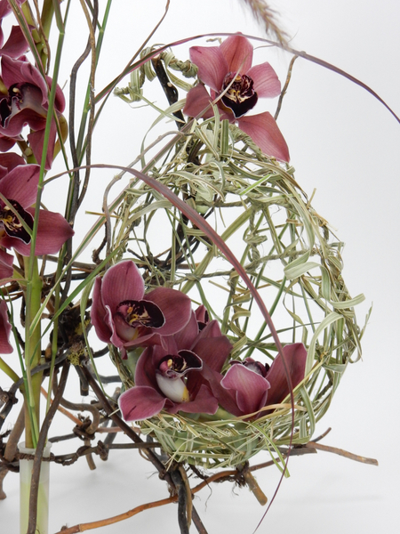 Cymbidium orchids in the grass bird's nest