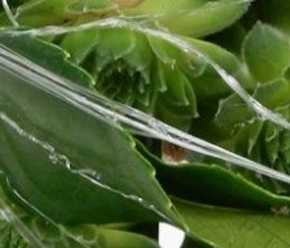 I found it this way: Leaf nest design