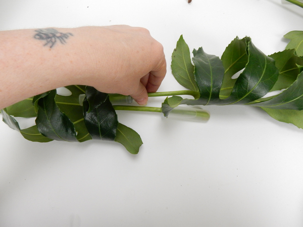 Place the stem ends in a water tube to keep the leaf hydrated