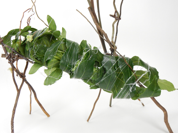 Rolled leaves to create a nest for the succulents