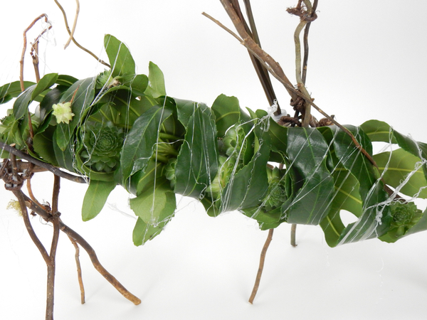 Succulent leaf nest
