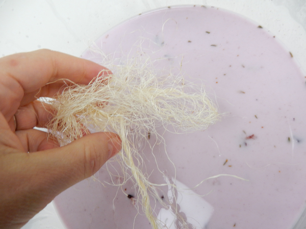 Dip the sisal in the glue mixture