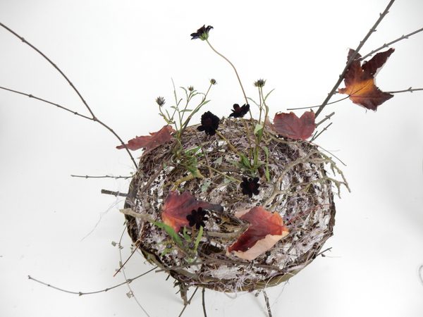 Round armature with fall leaves and chocolate cosmos