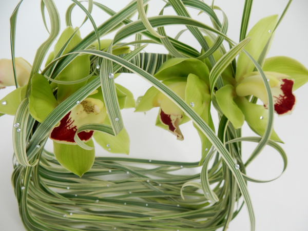 Cymbidium orchids and curled grass