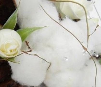 A Gleaming Cotton Christmas