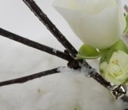 A Jingle Cotton Christmas