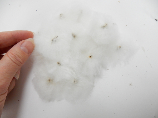 Fluff out all the cotton you will need to cover the rest of the wreath frame