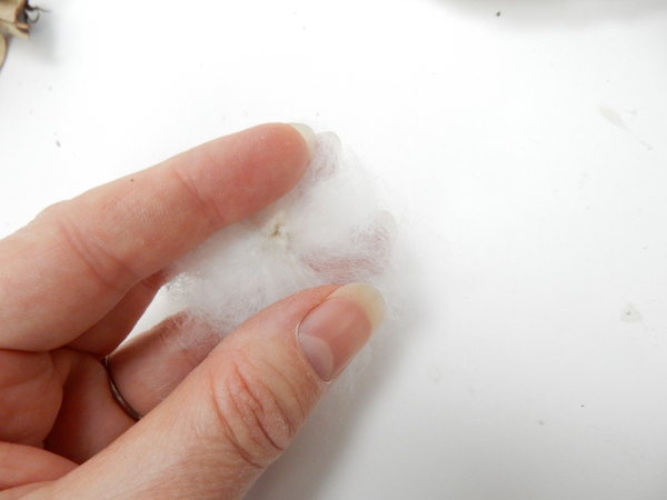 Gently pull the fluff from the seed without ripping it