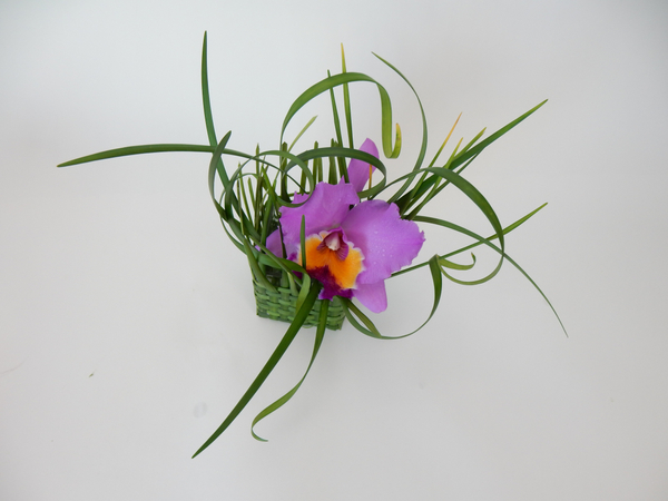 Cattleya orchid and lily grass