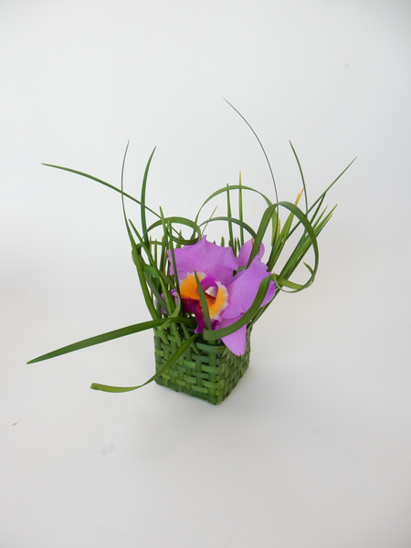 Cattleya orchid in a hand woven lily grass basket