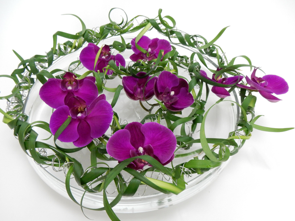 Coiled wire, Phalaenopsis orchids and curled lily grass flower frog
