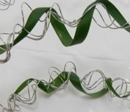 Not yet Spring, Spring but a spring