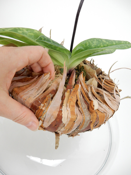 Lift the strips of bark to cover the pot, plastic and tissue paper