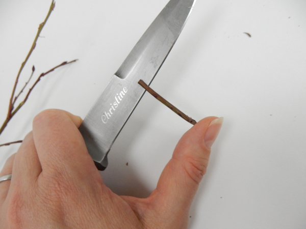 Split the twig with a sharp knife