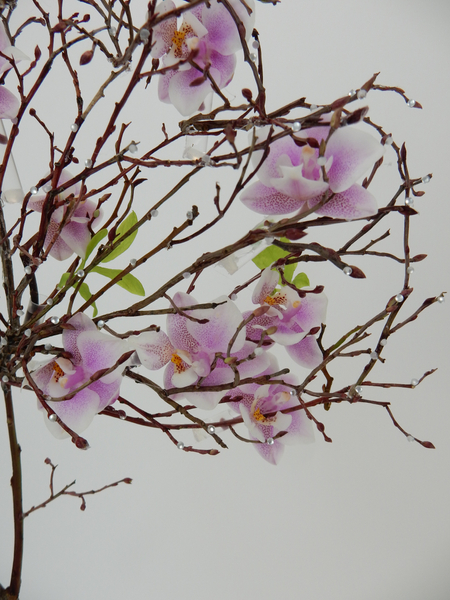 Phalaenopsis orchids in a twig heart and sparkling beads