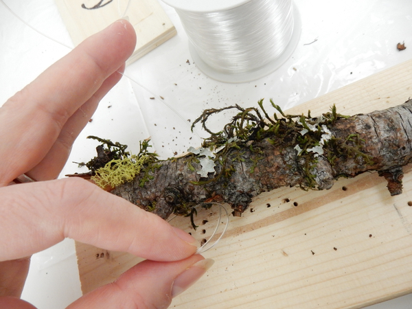  Drill holes into the moss covered sticks and thread the line through.