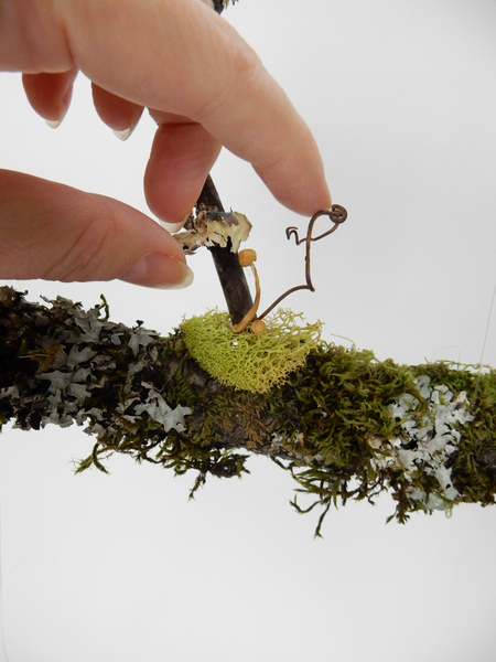 Glue in bits of reindeer moss, dried mushrooms and grape vine tendrils. Glue in bits of reindeer moss, dried mushrooms and grape vine tendrils.