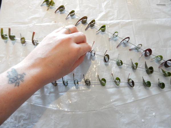 Rolled Leucadendron leaf skewers