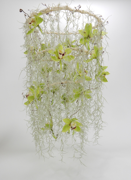 Tillandsia Usneoides and Cymbidium chandelier