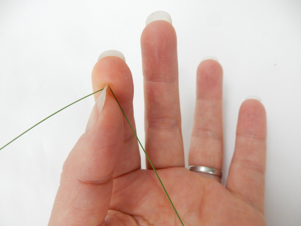 Bring your finger to your nail to pinch the blade of grass