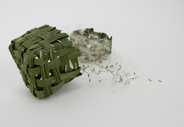 Dandelion seeds in a grass basket