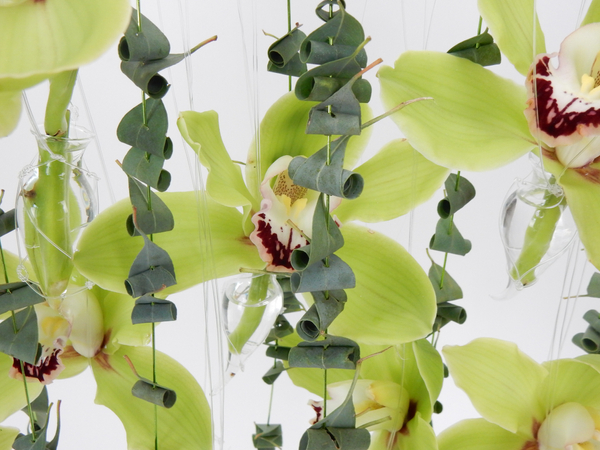 Green Cymbidiums and Eucalyptus flower curtain.