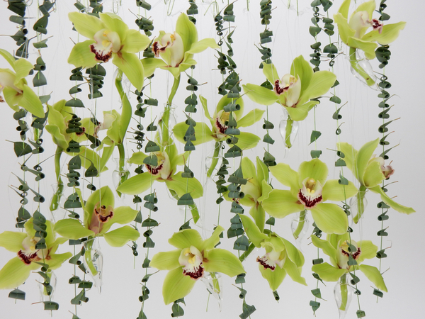 Green Cymbidiums and Eucalyptus hanging design