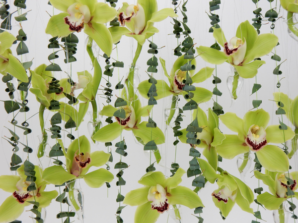 Green Cymbidiums and Eucalyptus hanging design with green wire