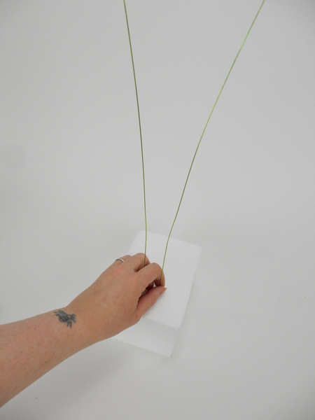 Press wire into styrofoam Press wire into styrofoam