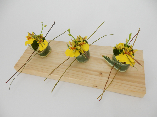 Skewer Dracaena leaves into a roll that supports a tiny water source for the Oncidium orchids