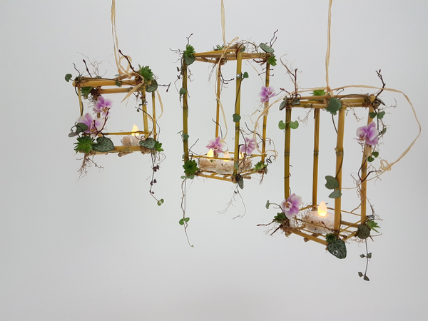 Phalaenopsis, Ceropegia woodii and succulent bamboo lanterns