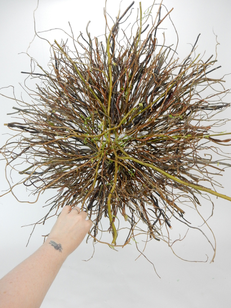 Add sprouting stems of willow in water tubes