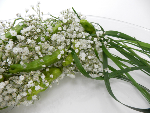 Baby’s breath, Shishito peppers and lily grass.