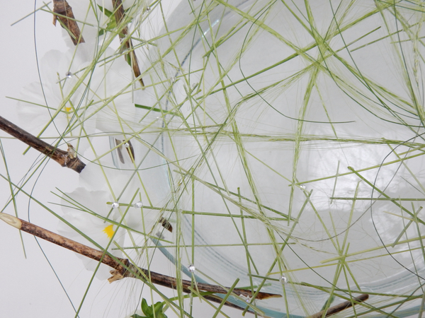 Grass bits and dew drop crystals