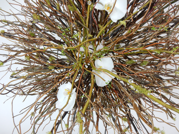 Phalaenopsis orchid and willow radial design