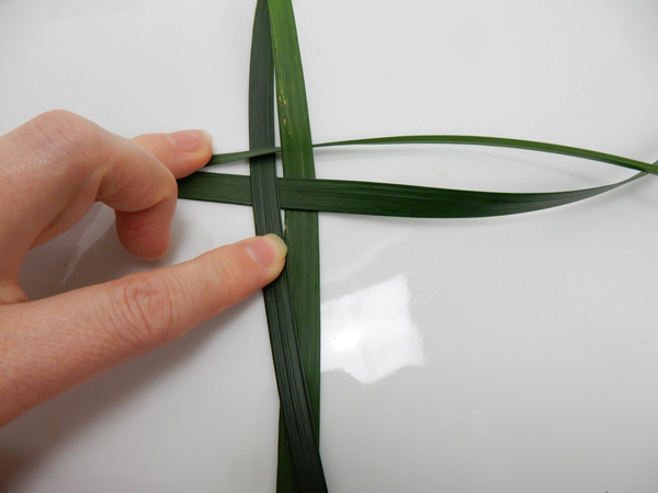 Place a few blades of grass on a flat working surface to weave