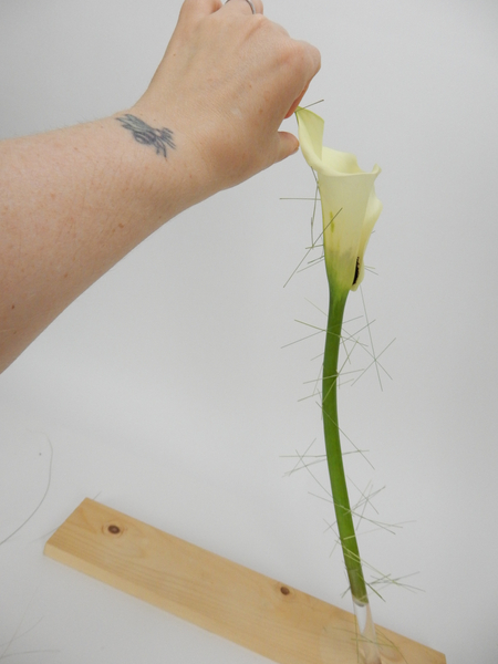To extend all the way up the elegant flower stem