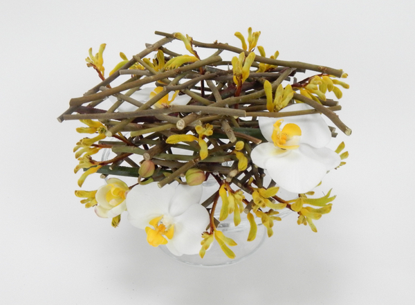 Phalaenopsis orchids and kangeroo paw twig stack floral art design