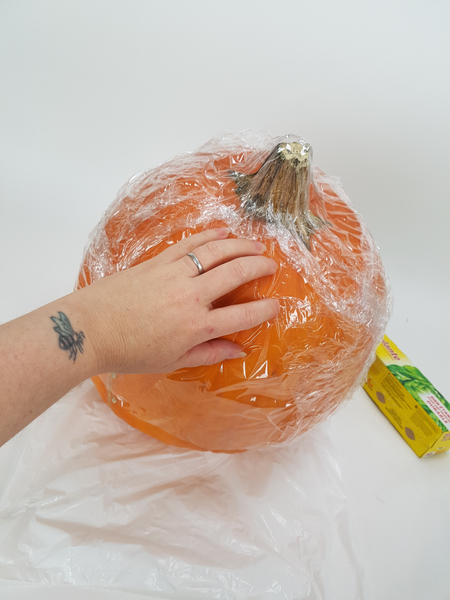 Cover the basic shape with cling wrap.  