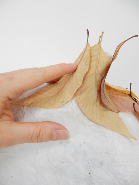 Glue the leaves around the stem of the paper pumpkin-pod