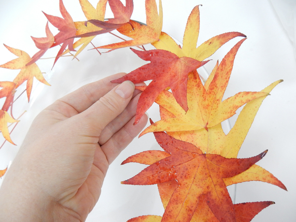 Pierce and stack a few random leaves to break up the pattern